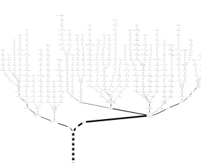 Scriptroute Reverse Path Tree