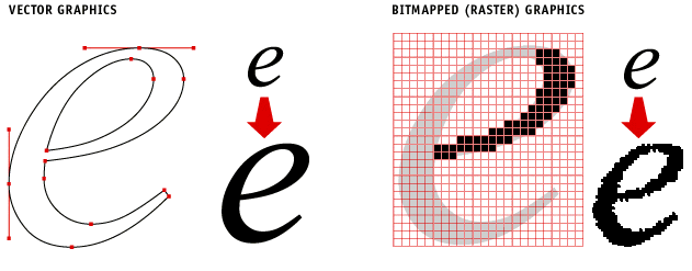 Vector vs. Raster Images