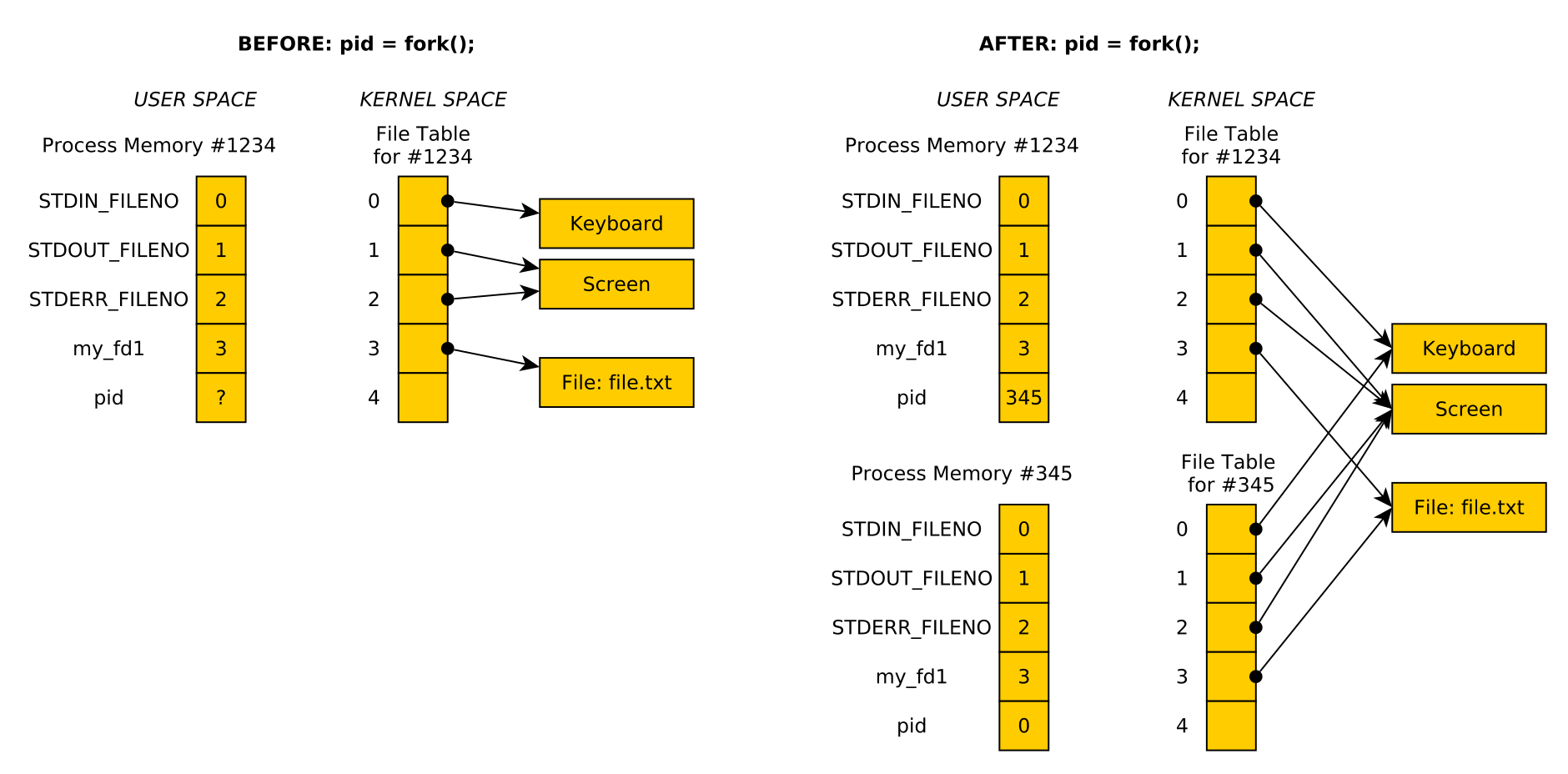 fork-fds.png